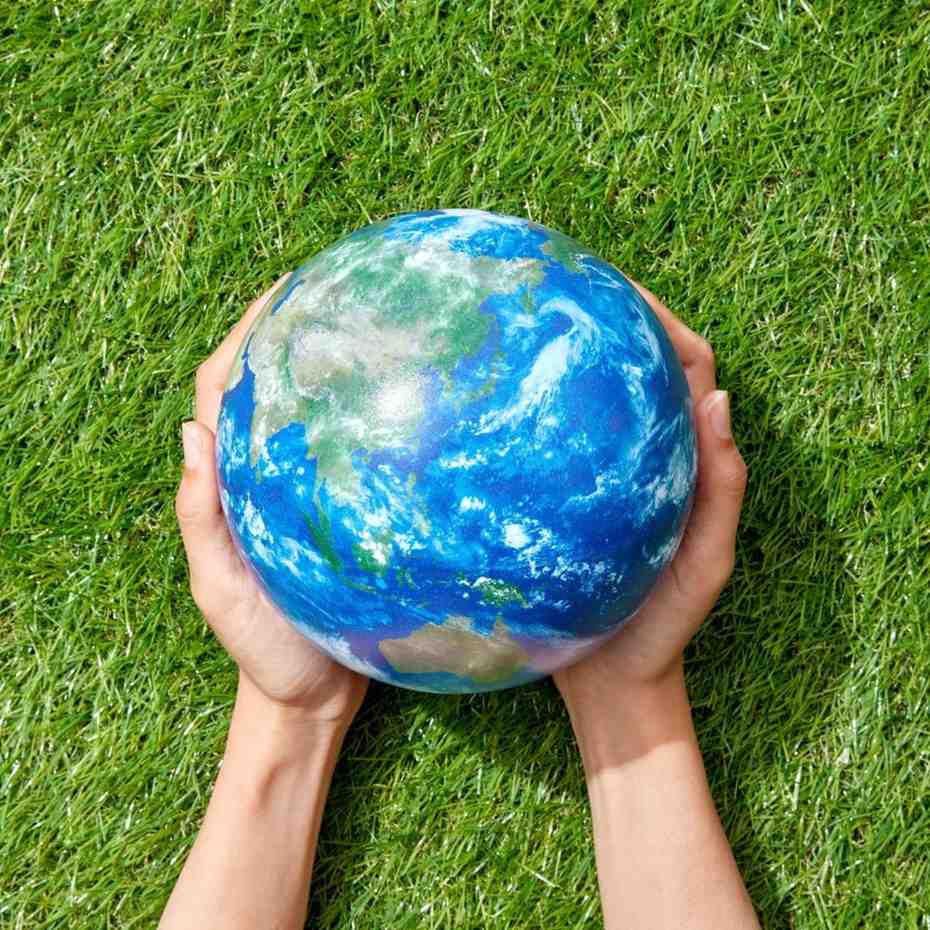 Sustainability & Spiritual Ecology