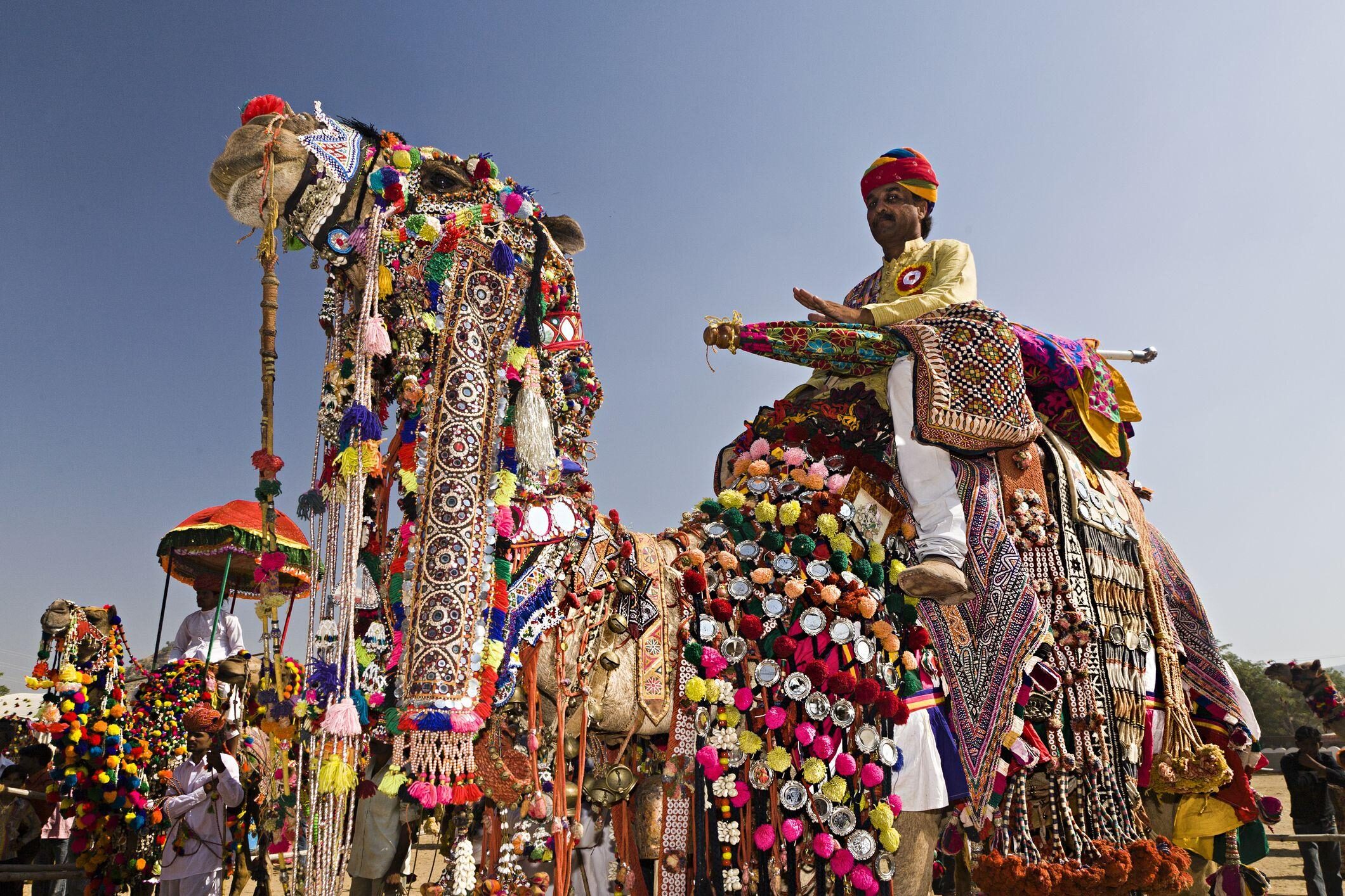 6. Pushkar Cattle Fair