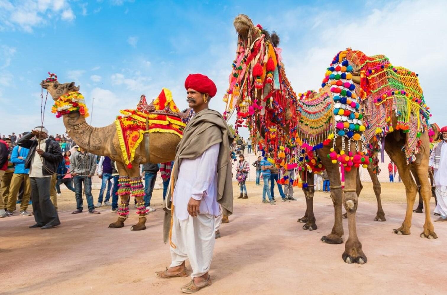 6. Pushkar Cattle Fair2