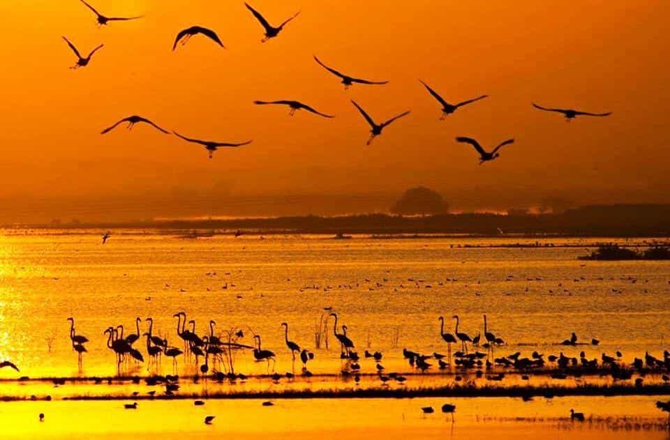 compressO-13. Wildlife and Migratory Wonders Trail3