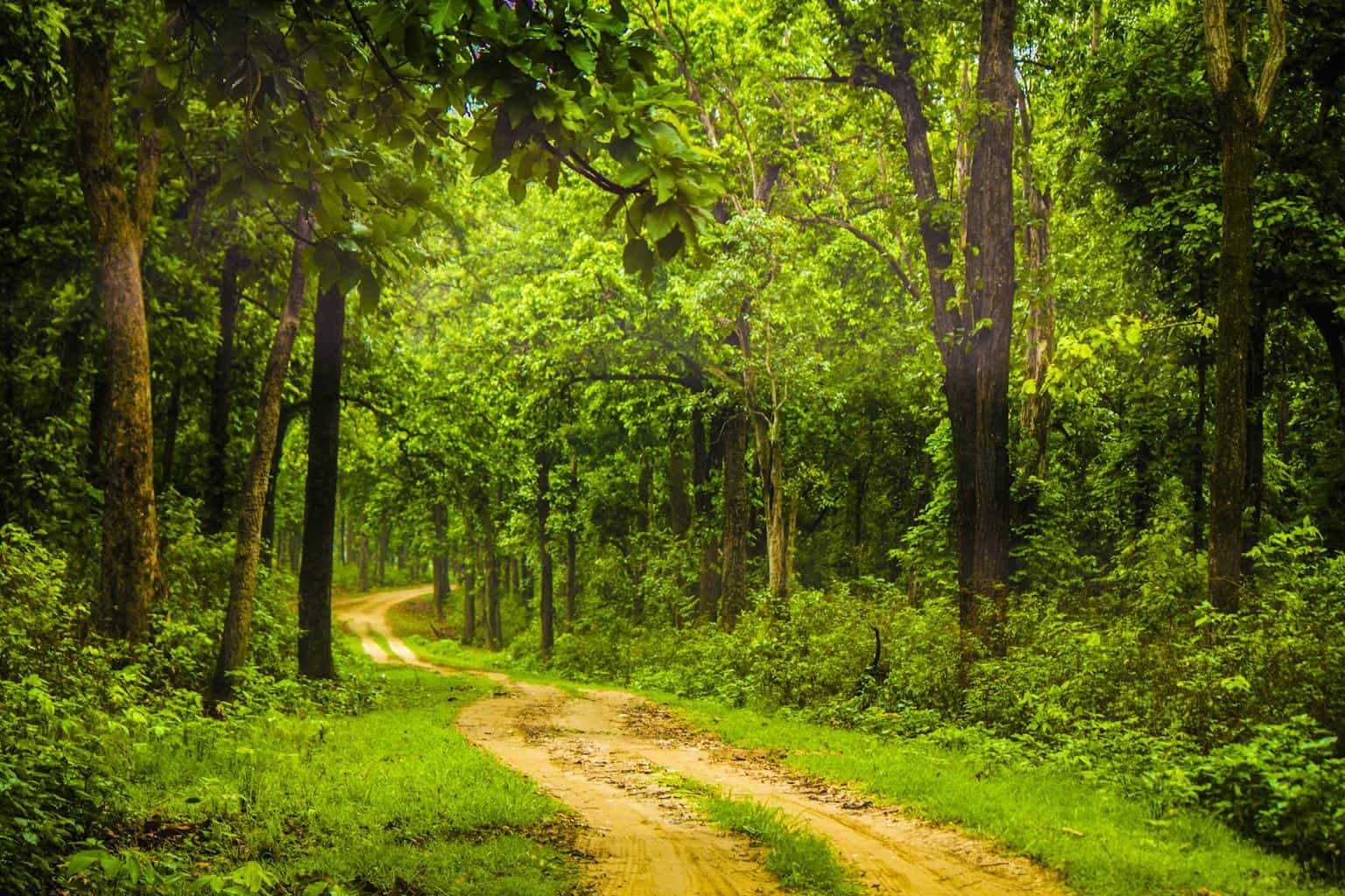compressO-13. Wildlife and Migratory Wonders Trail4