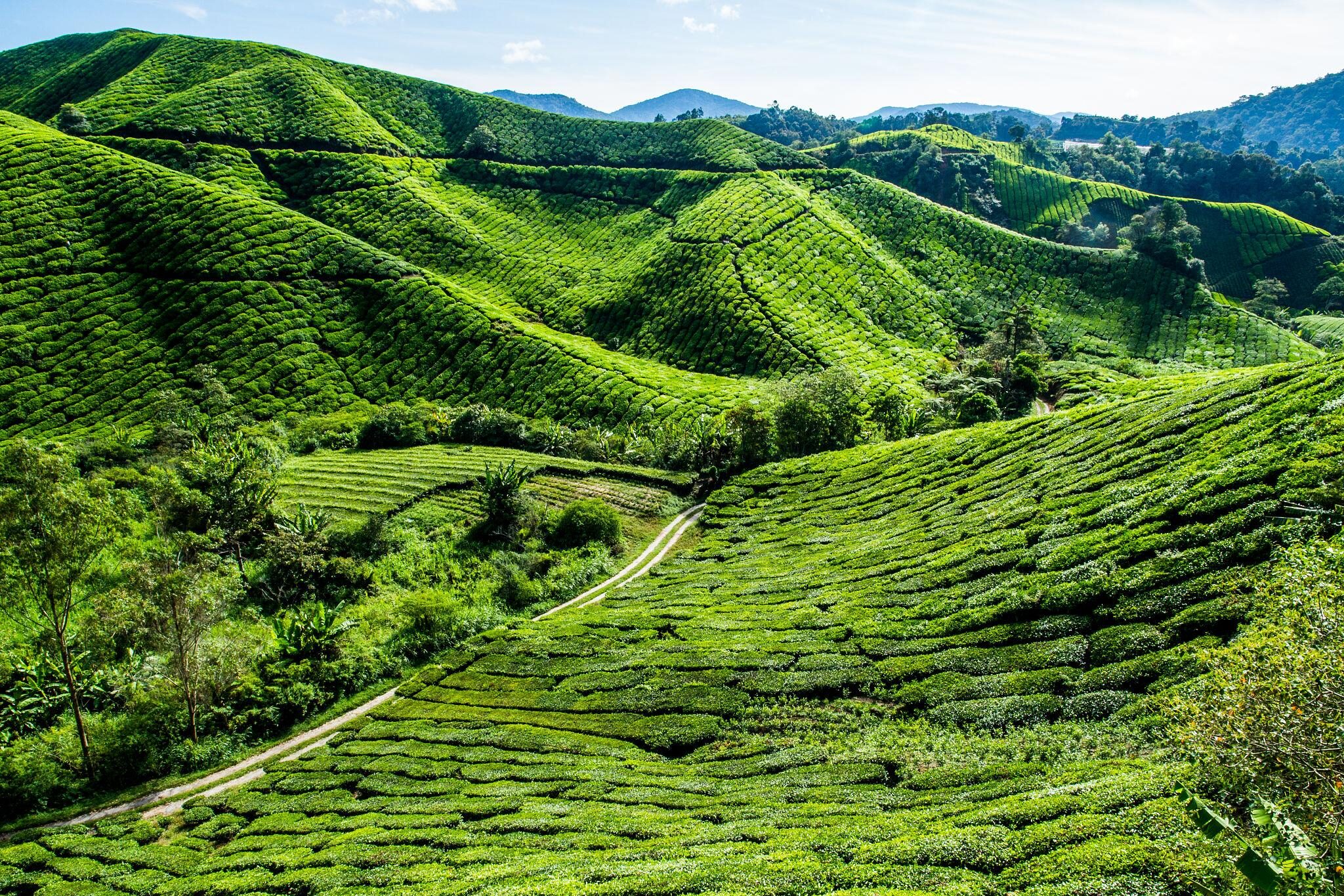 20. Malaysia2