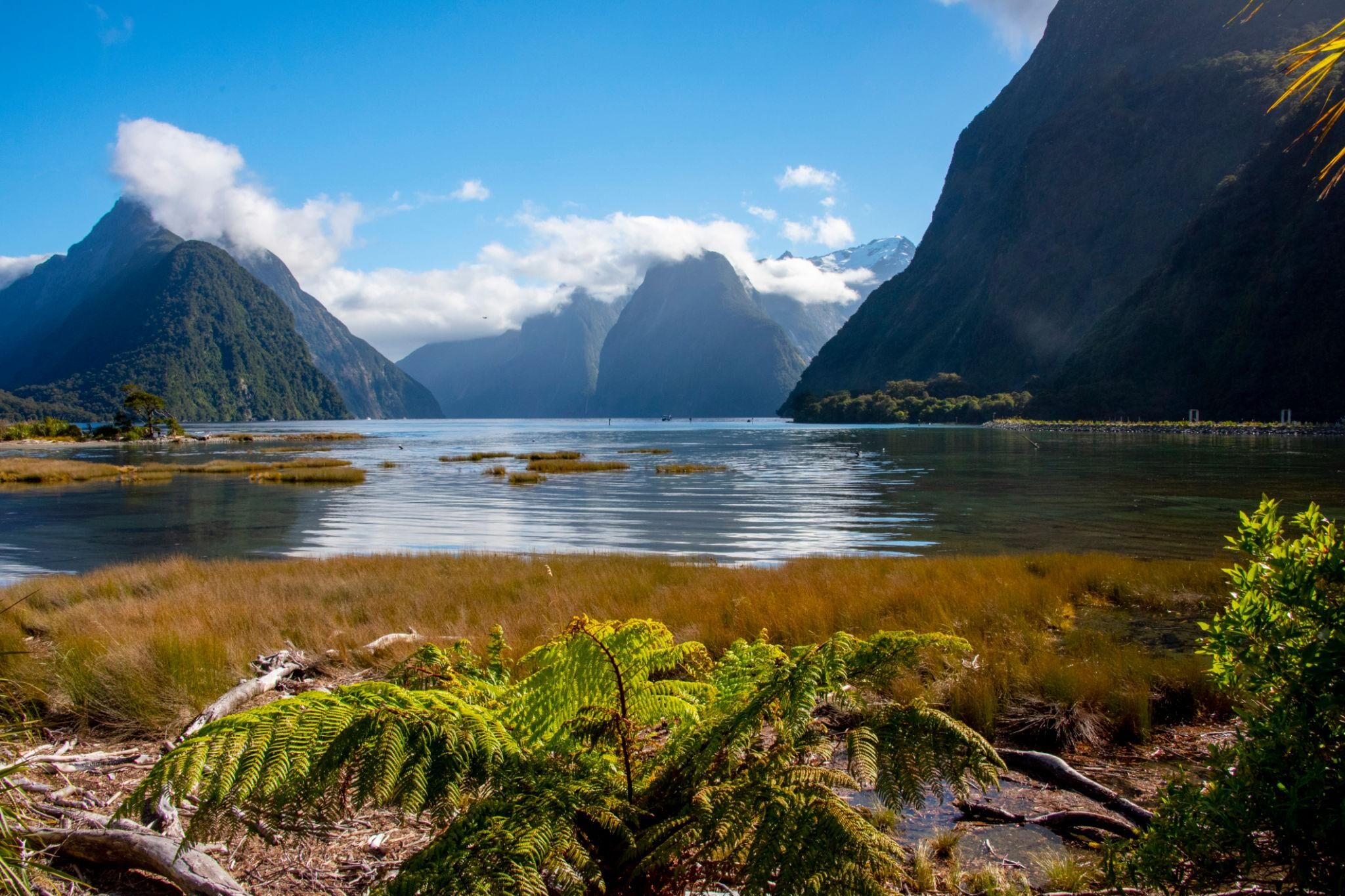 25. New Zealand2